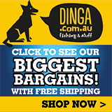 dinga fishing tournament banner